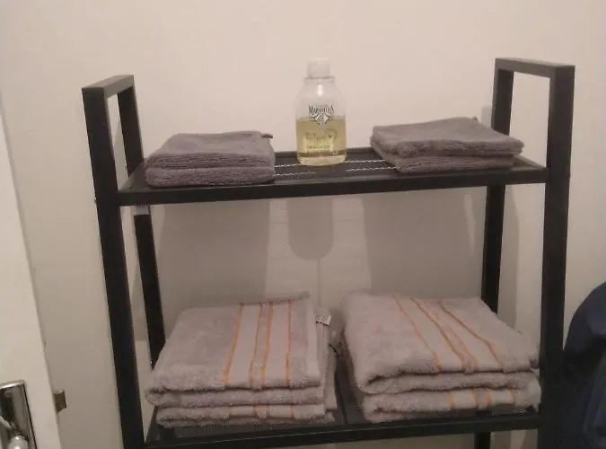 Hypercentre Au 1er, Zoo - 24h Du Mans *