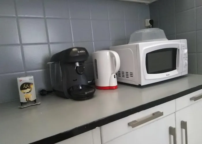 Appartamento Hypercentre Au 1er, Zoo - 24h Du Mans *