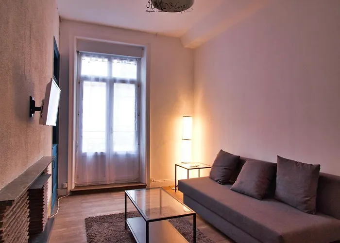 Appartamento Hypercentre Au 1er, Zoo - 24h Du Mans