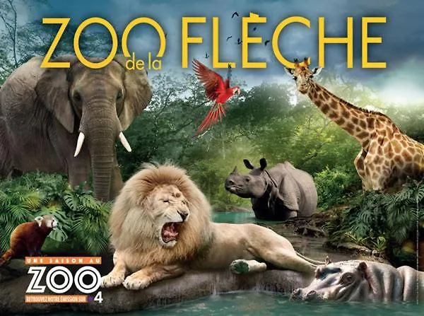 Appartamento Hypercentre Au 1er, Zoo - 24h Du Mans