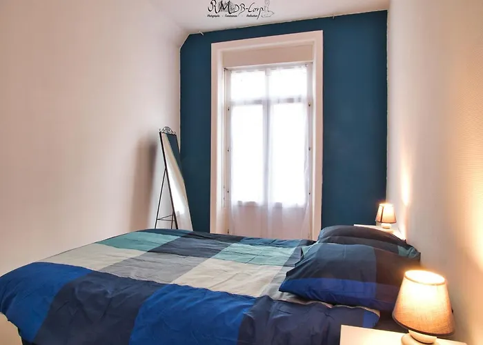 Hypercentre Au 1er, Zoo - 24h Du Mans *